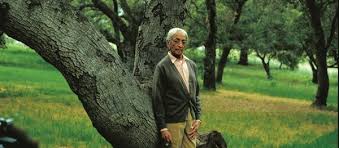 Krishnamurti : With a Silent Mind