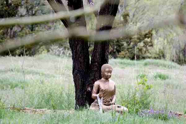 The Land of the Disappearing Buddha